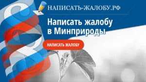 жалоба в минприроды образец